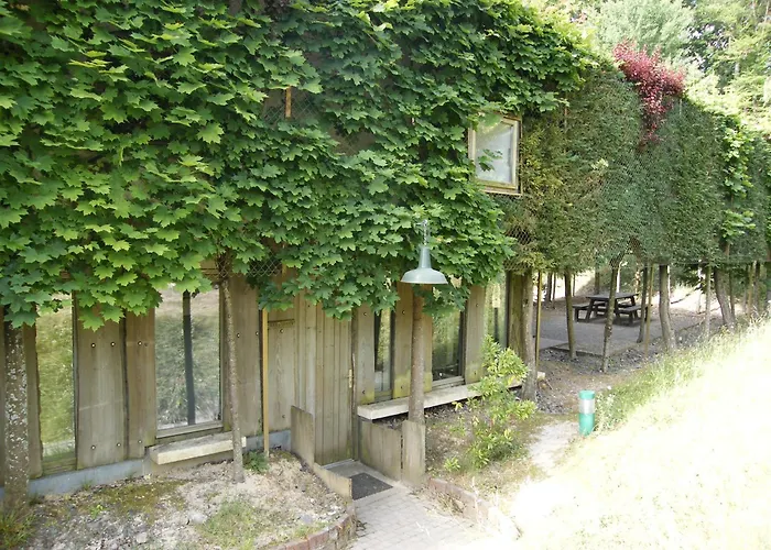 Chalet Des Tropes Jupilles